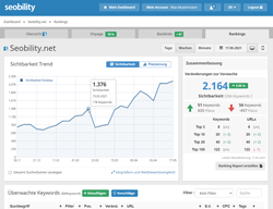 Ranking Monitoring Dashboard